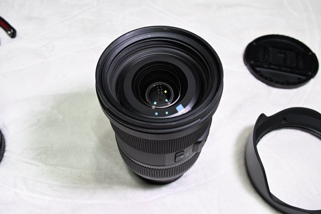 SIGMA 24-70mm F2.8 DG DN [ライカL用]