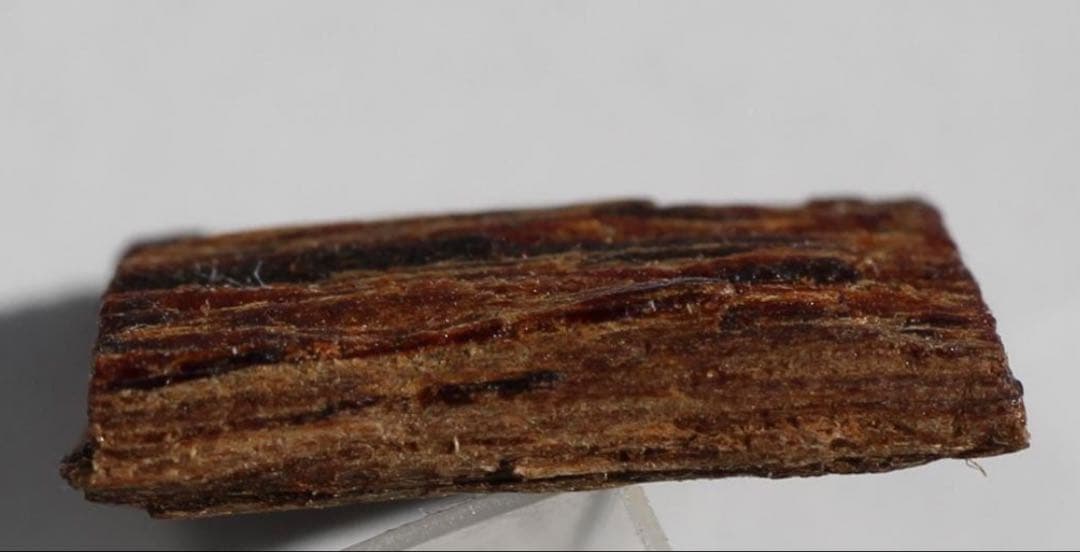 香木 古渡命銘木 「初音」約0. 49g 沈香 伽羅 奇南 奇楠 お香 香道