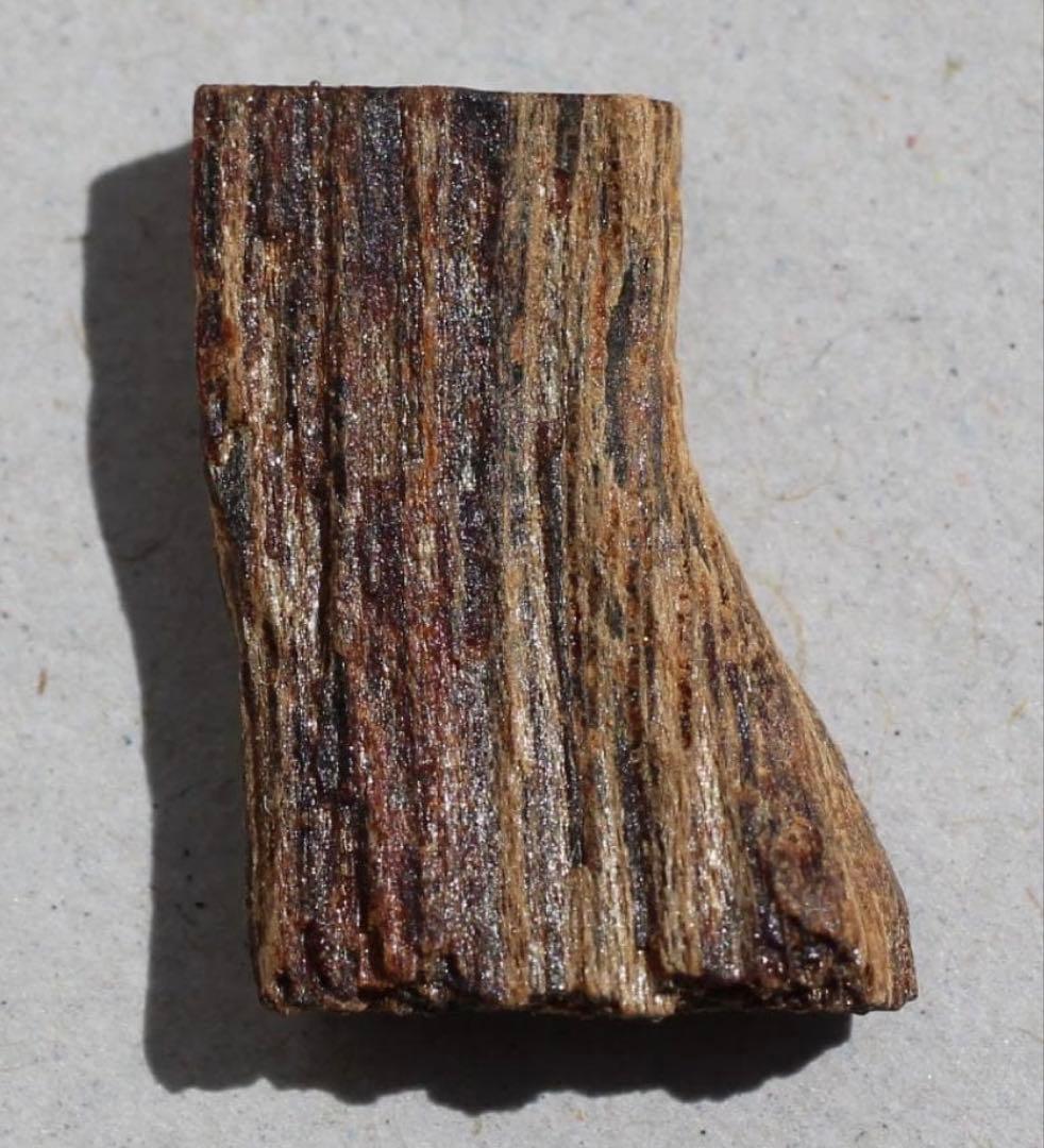 香木 古渡命銘木 「初音」約0. 49g 沈香 伽羅 奇南 奇楠 お香 香道