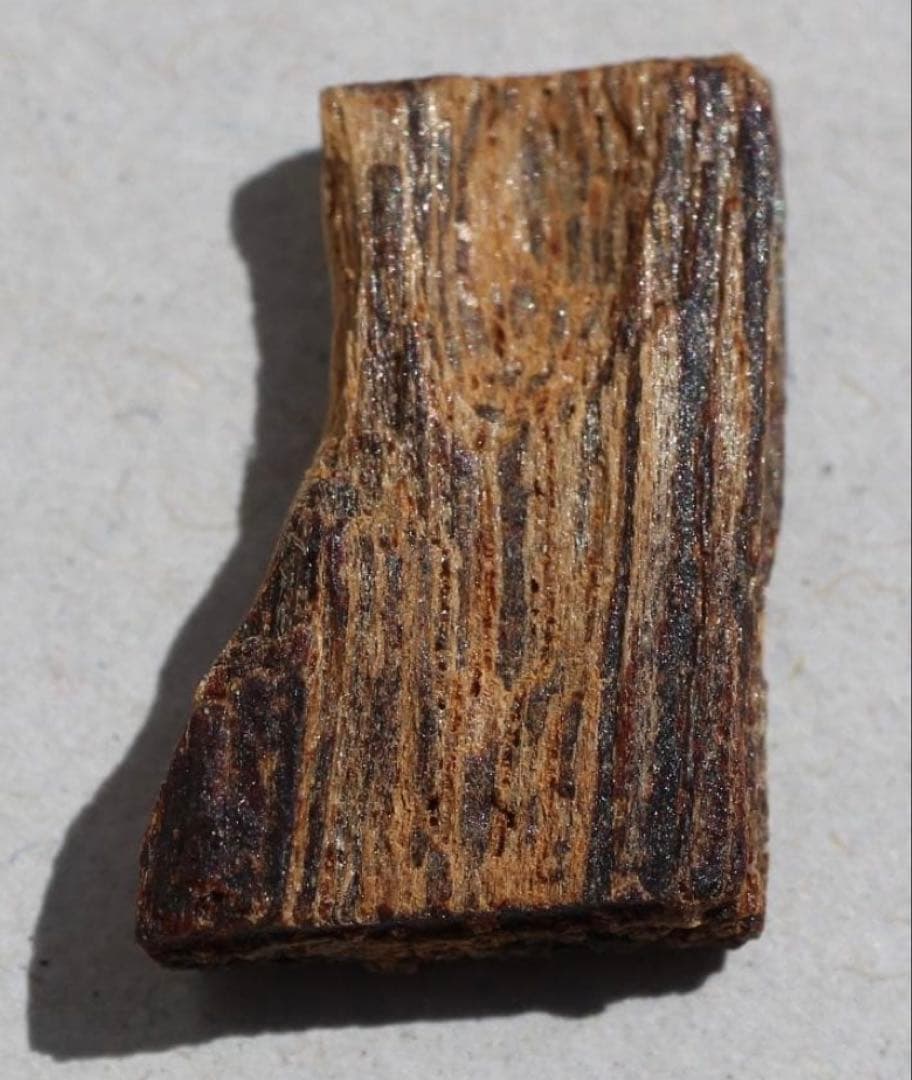 香木 古渡命銘木 「初音」約0. 49g 沈香 伽羅 奇南 奇楠 お香 香道