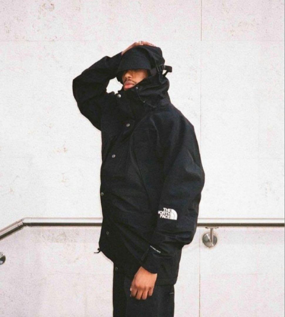 THE NORTH FACE 1994 レトロマウンテンライトジャケット