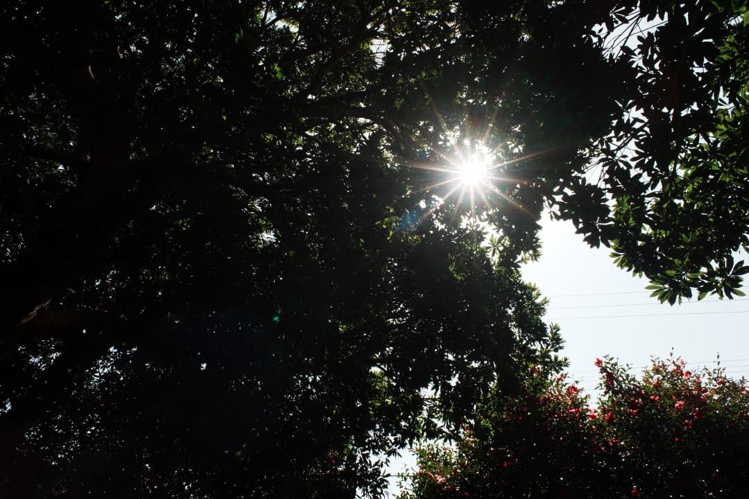 【極美品】動作◎ ニコン Ai Nikkor 24mm F2.8 760