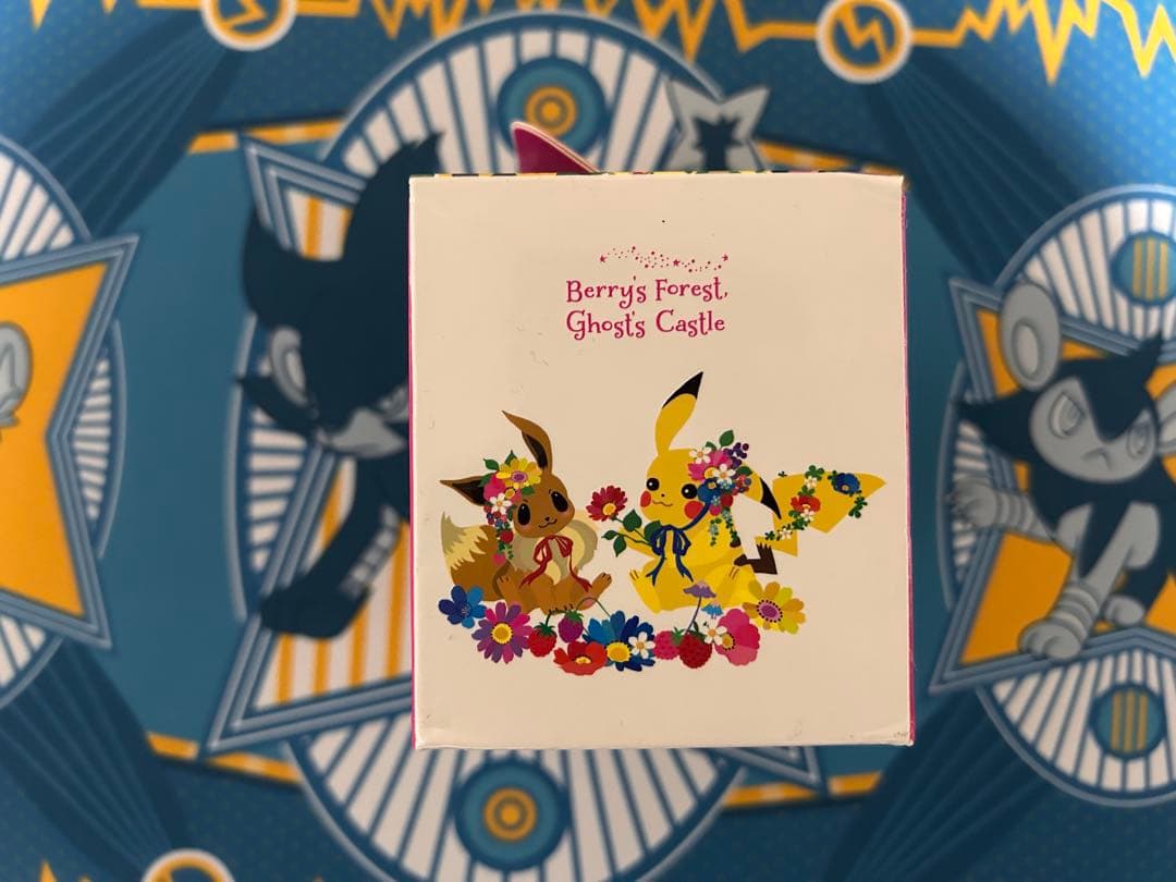 【未使用】ラバープレイマット、フリップデッキケース ポケモンカード