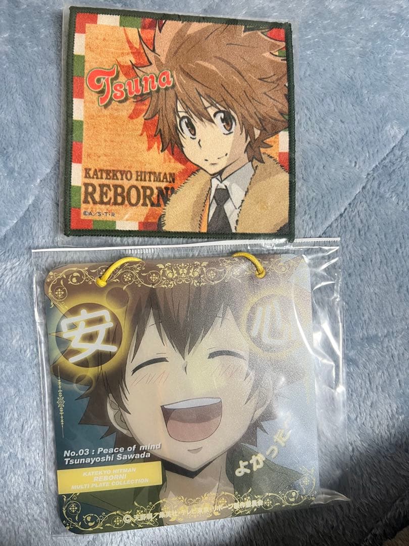 公*o様 家庭教師ヒットマンREBORN! 沢田綱吉