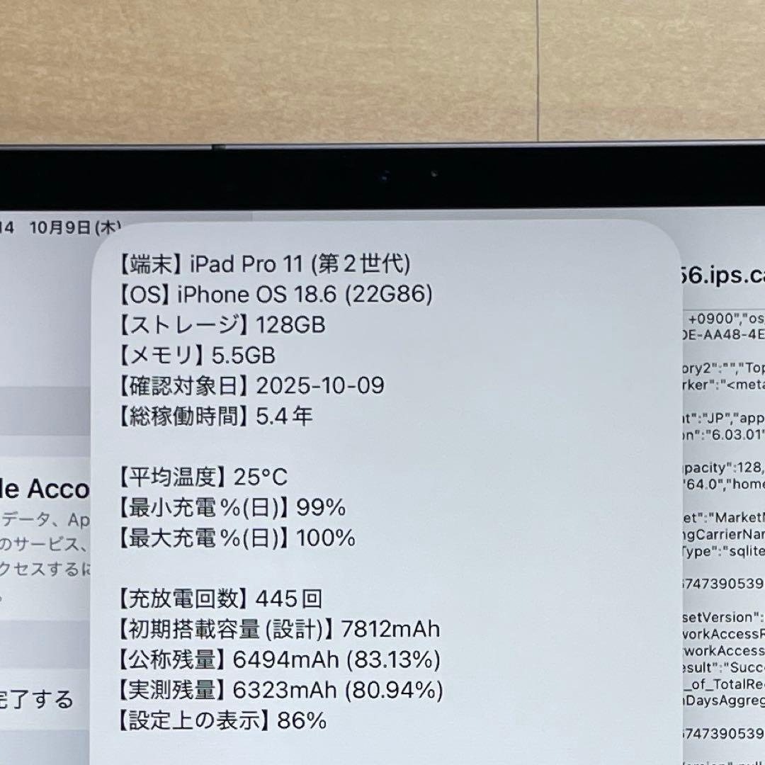 iPad Pro 11インチ　第2世代　128GB　A2230 超美品　#3