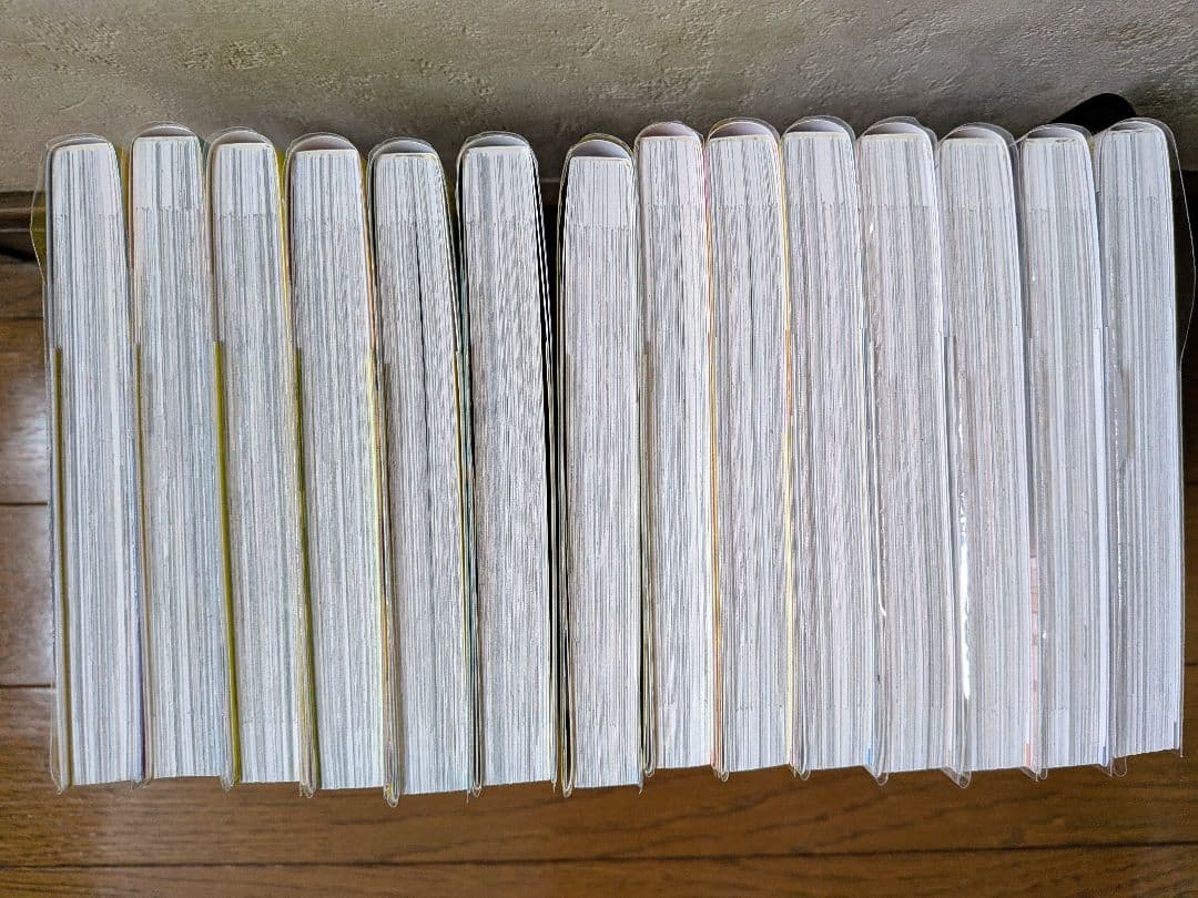 氷の城壁 1〜14巻 全巻セット