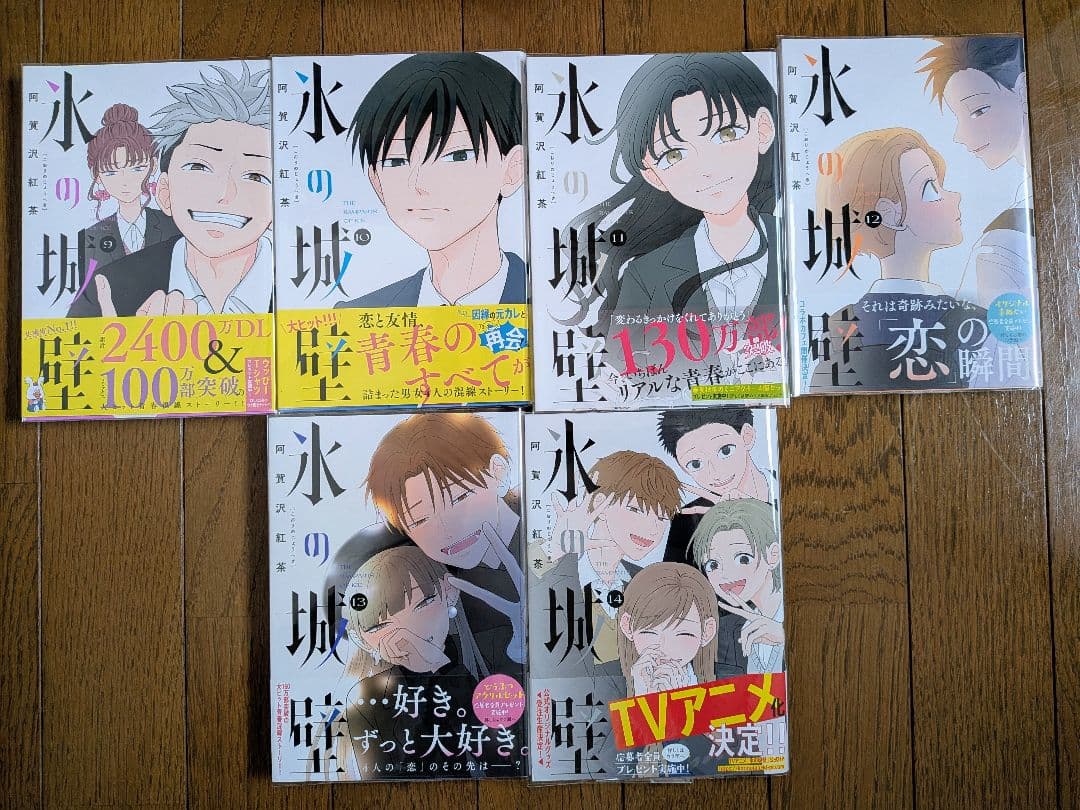 氷の城壁 1〜14巻 全巻セット