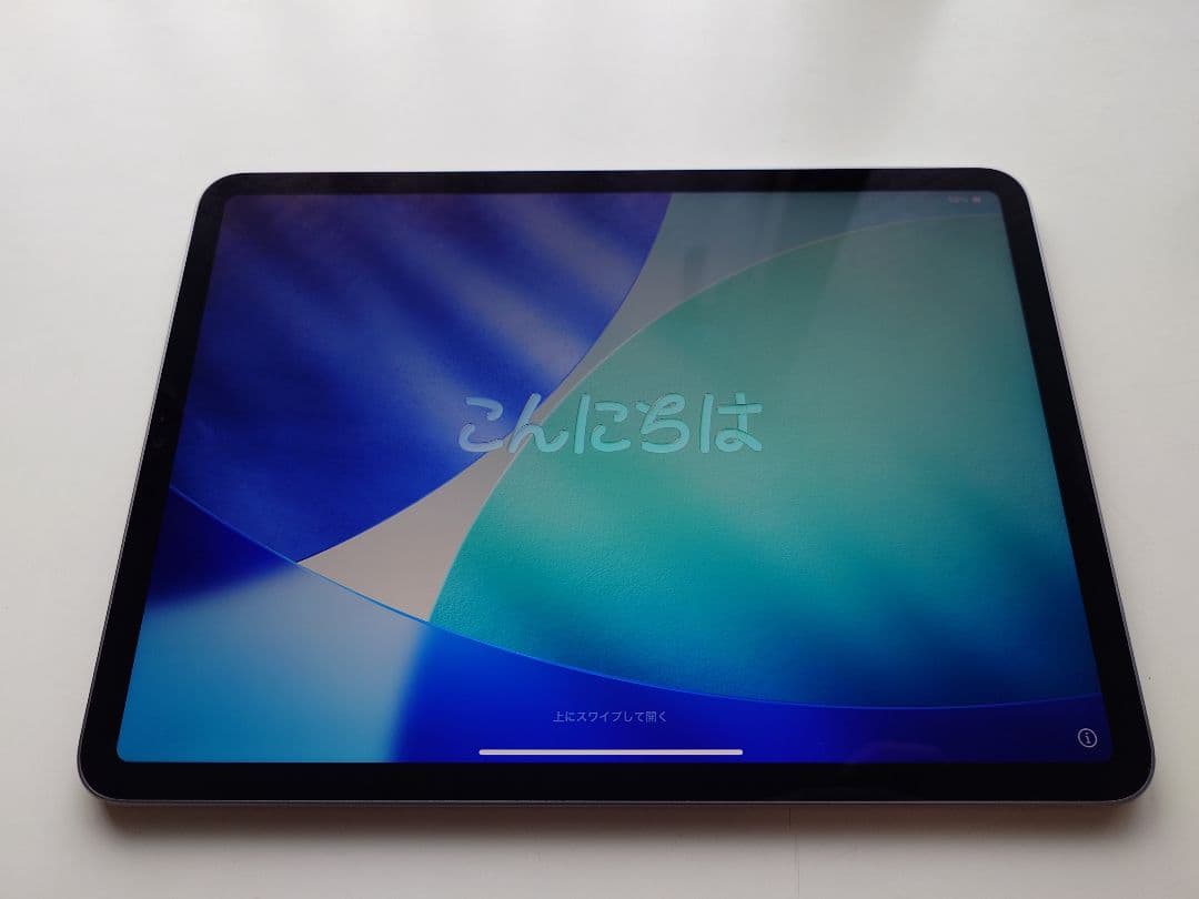 iPad Pro 11 第4世代 Wi-Fi M2 美品