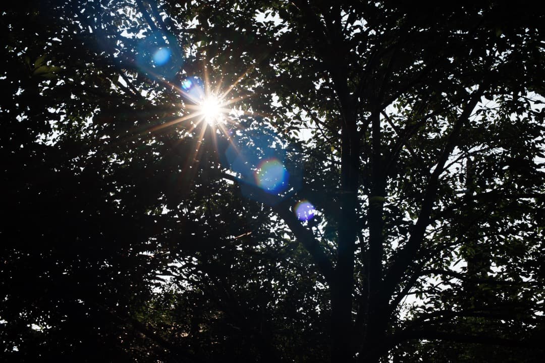 【極美品】動作◎ AI AF Nikkor 50mm F1.4 D 807