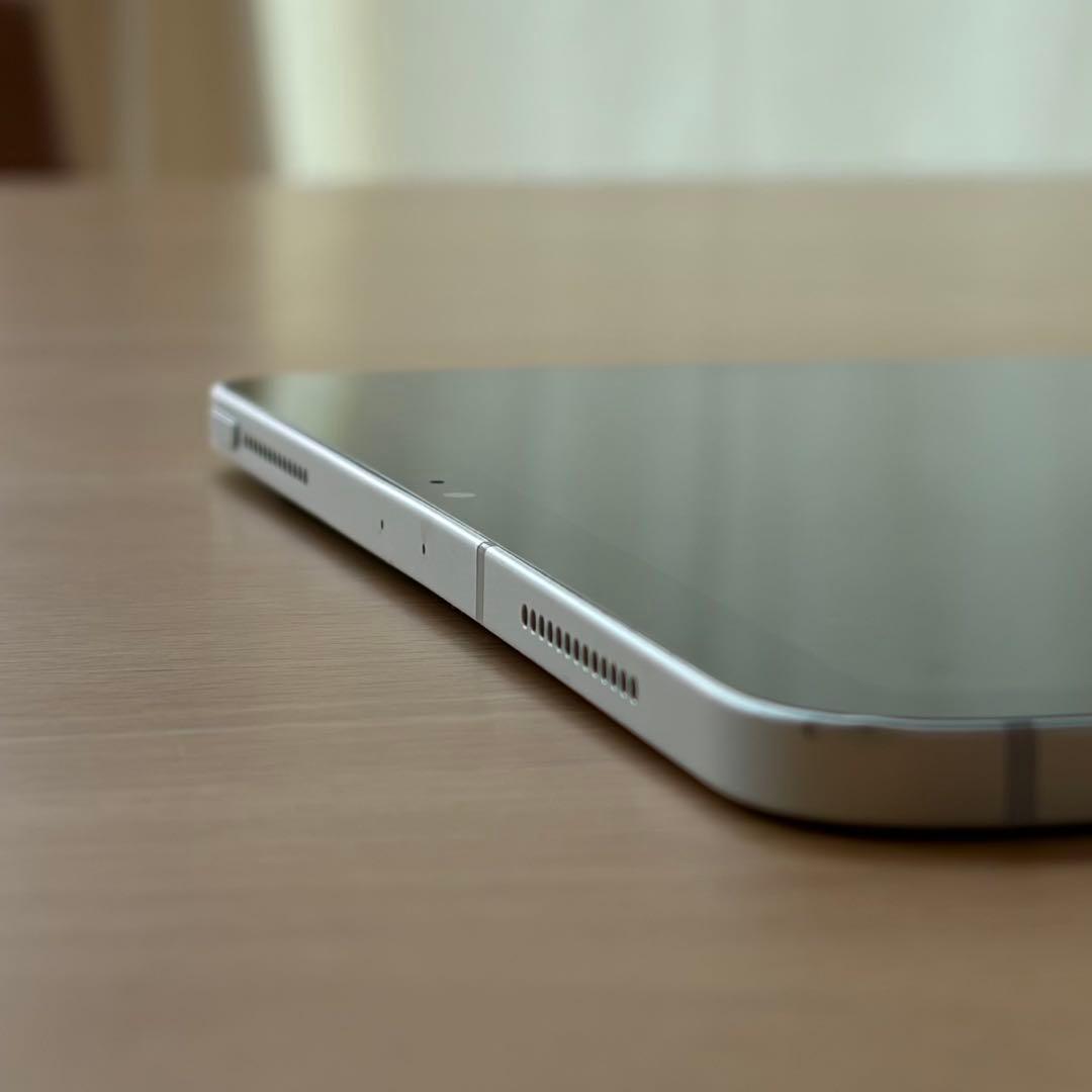 iPad Pro 11 第1世代 64GB セルラー 【バッテリー87%】