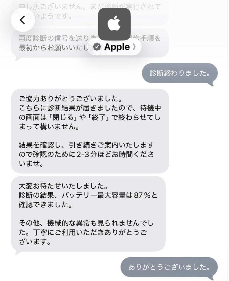 iPad Pro 11 第1世代 64GB セルラー 【バッテリー87%】