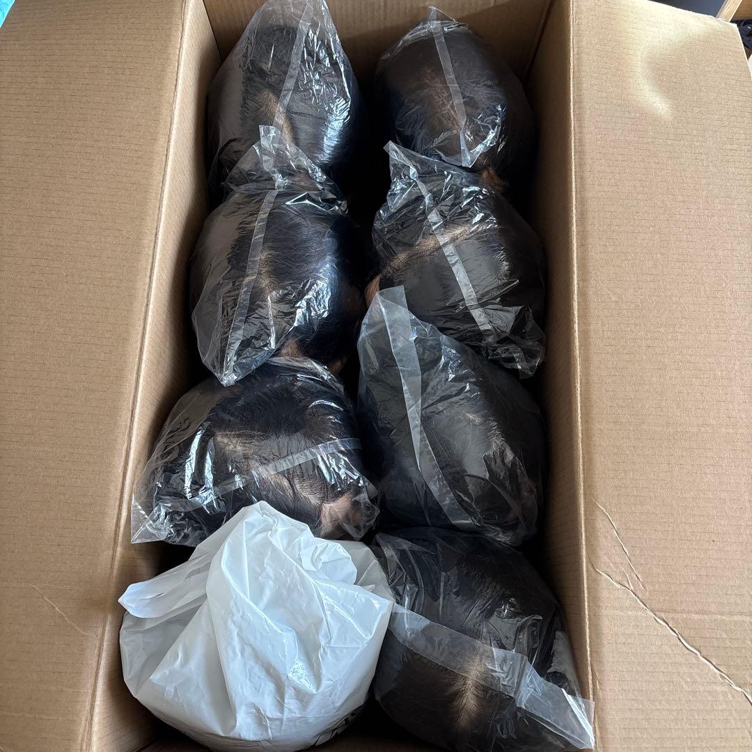 ちぃ　三矢 国家試験用 カットウィッグ