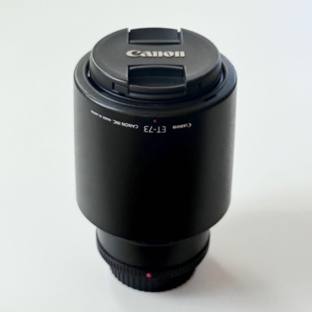 【美品】Canon EF 100mm f/2.8L Macro IS USM