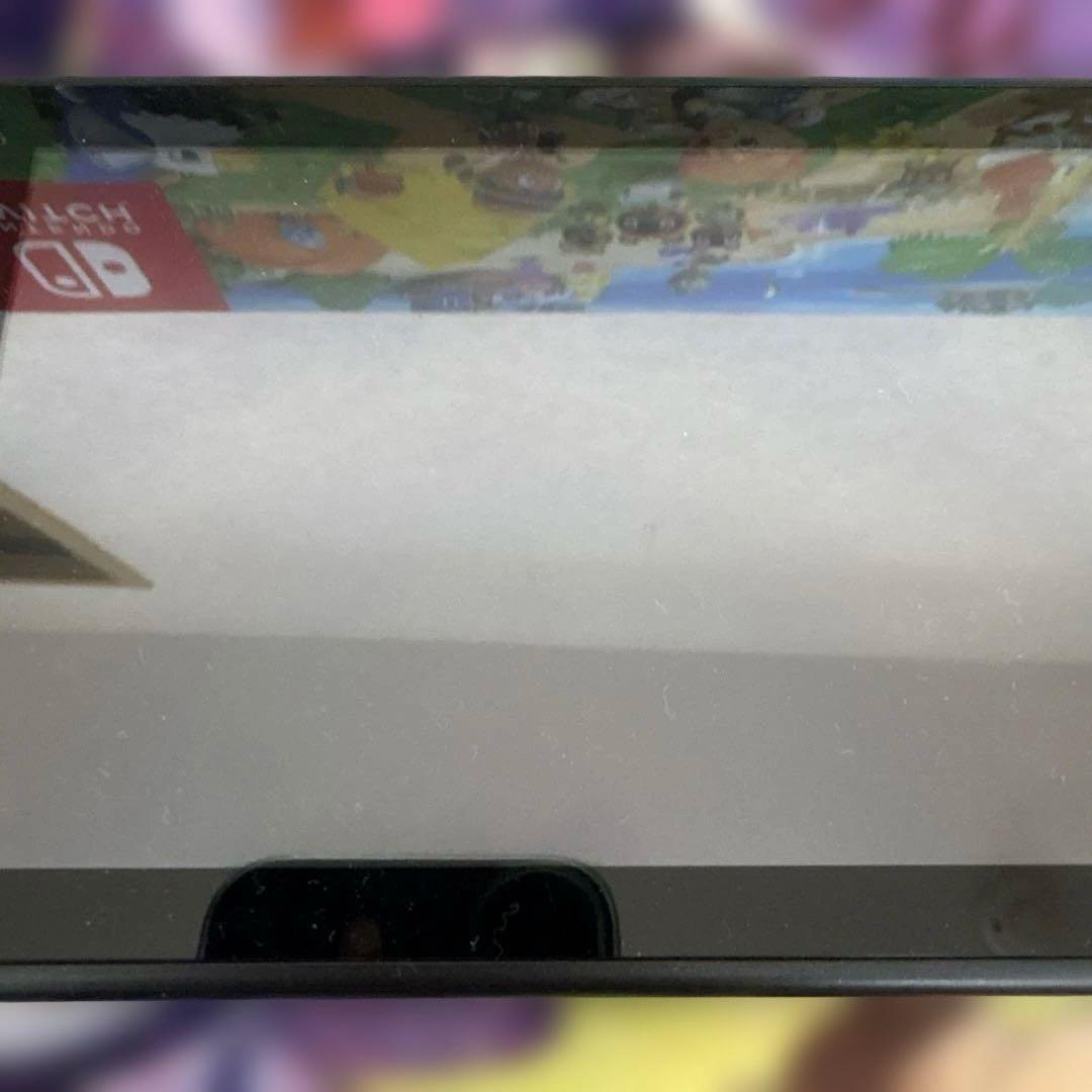 【中古】Nintendo Switch あつまれどうぶつの森セット
