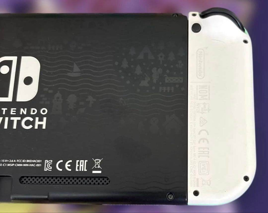 【中古】Nintendo Switch あつまれどうぶつの森セット