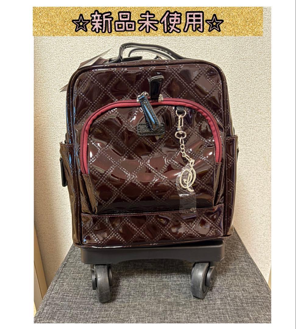 SWANY スワニー　キャリーカート