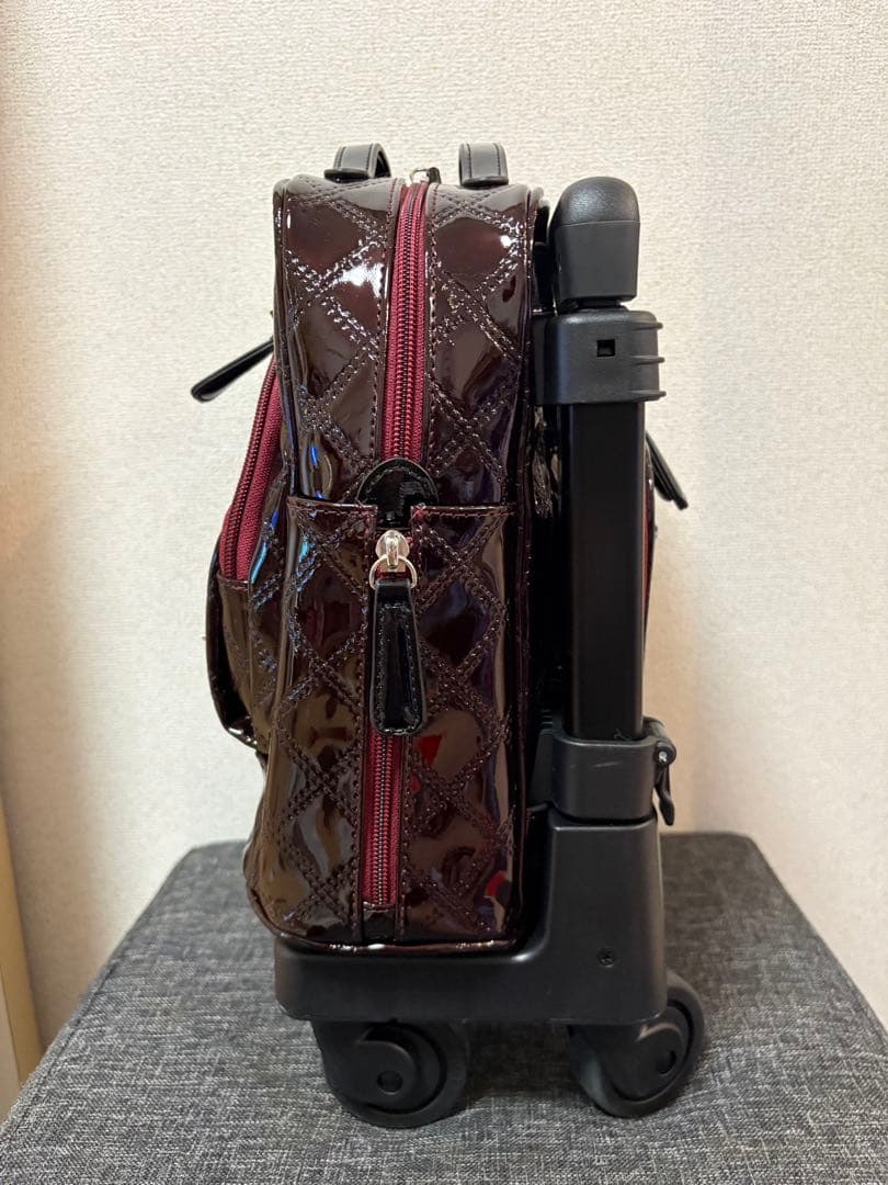 SWANY スワニー　キャリーカート