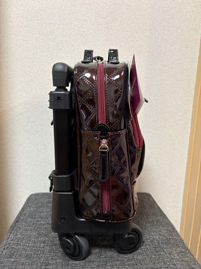 SWANY スワニー　キャリーカート