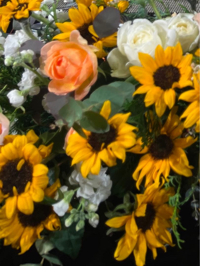 ファミリア　専用