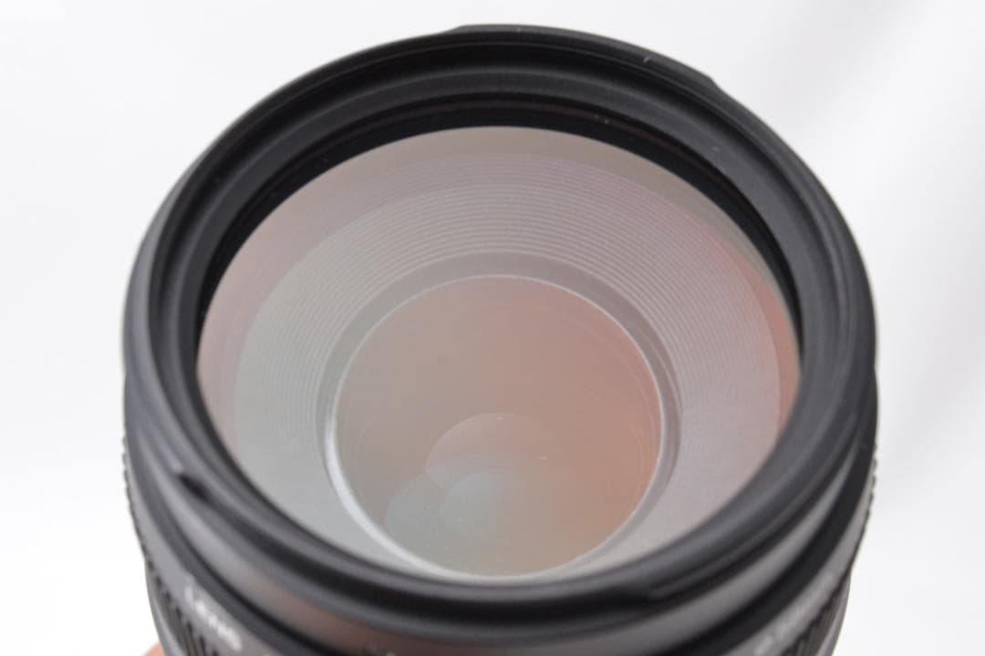 キャノン Canon EF 75-300mm F4-5.6 Ⅱ 望遠レンズ