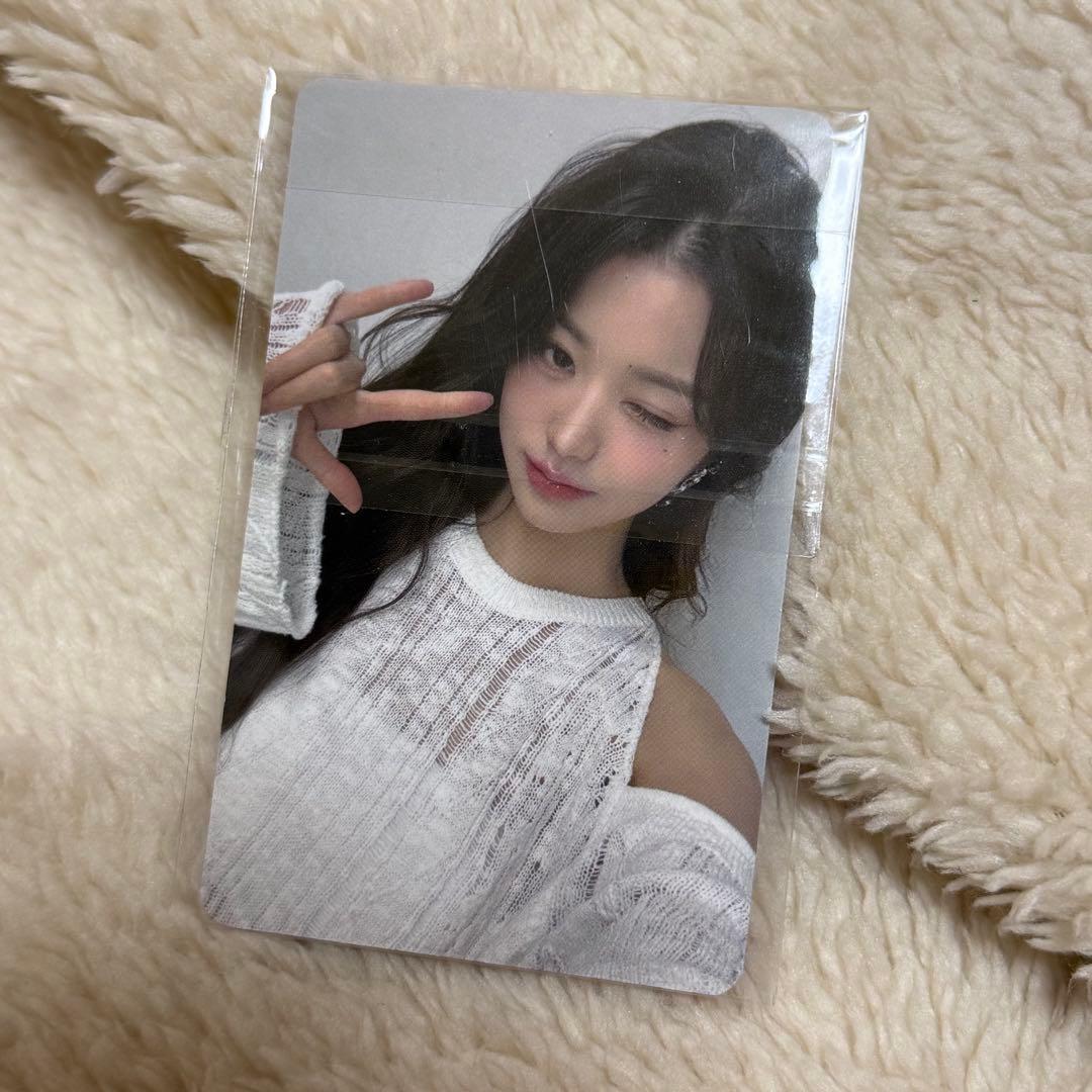 IVE DIVE JAPAN 長期継続 ウォニョン