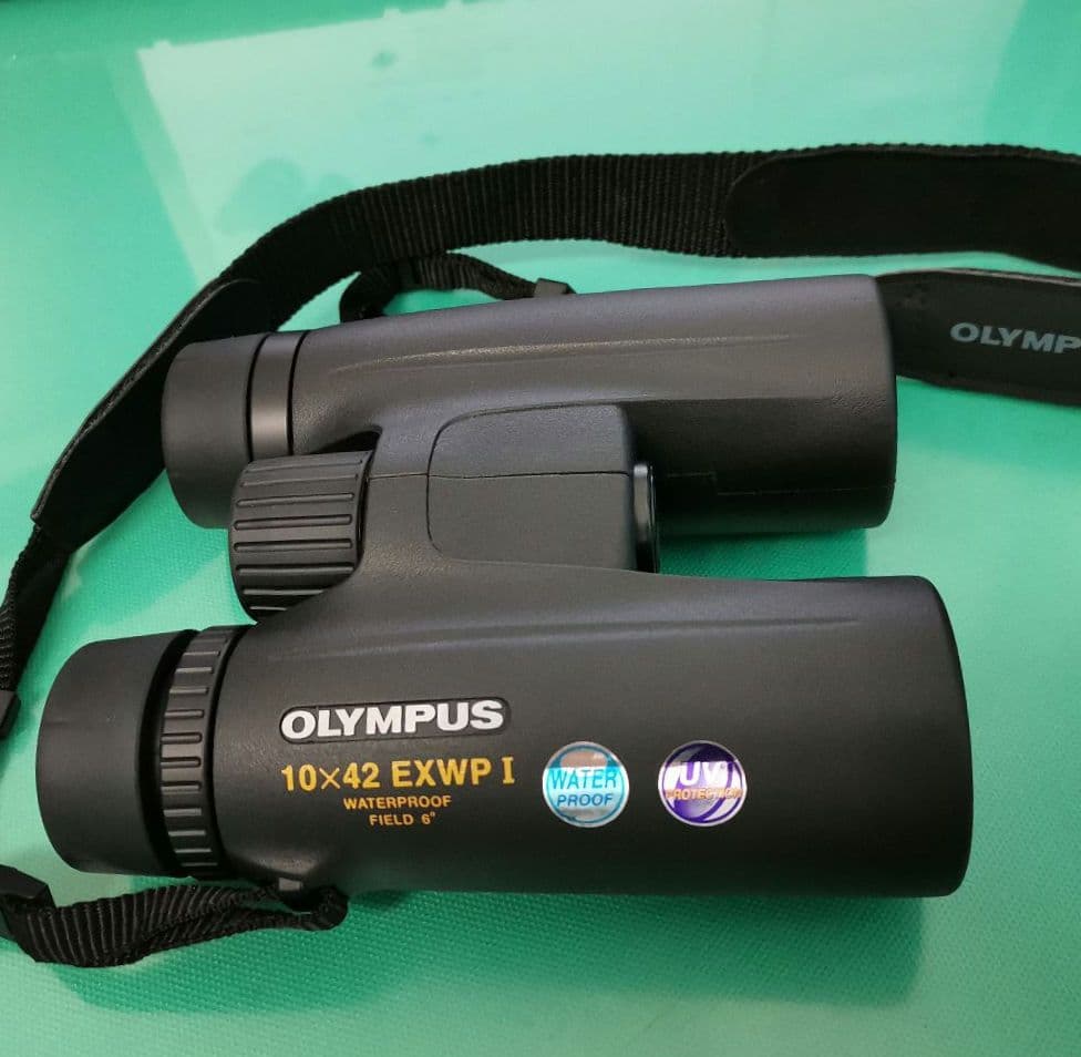 オリンパス OLYMPUS 10×42 EXWP I