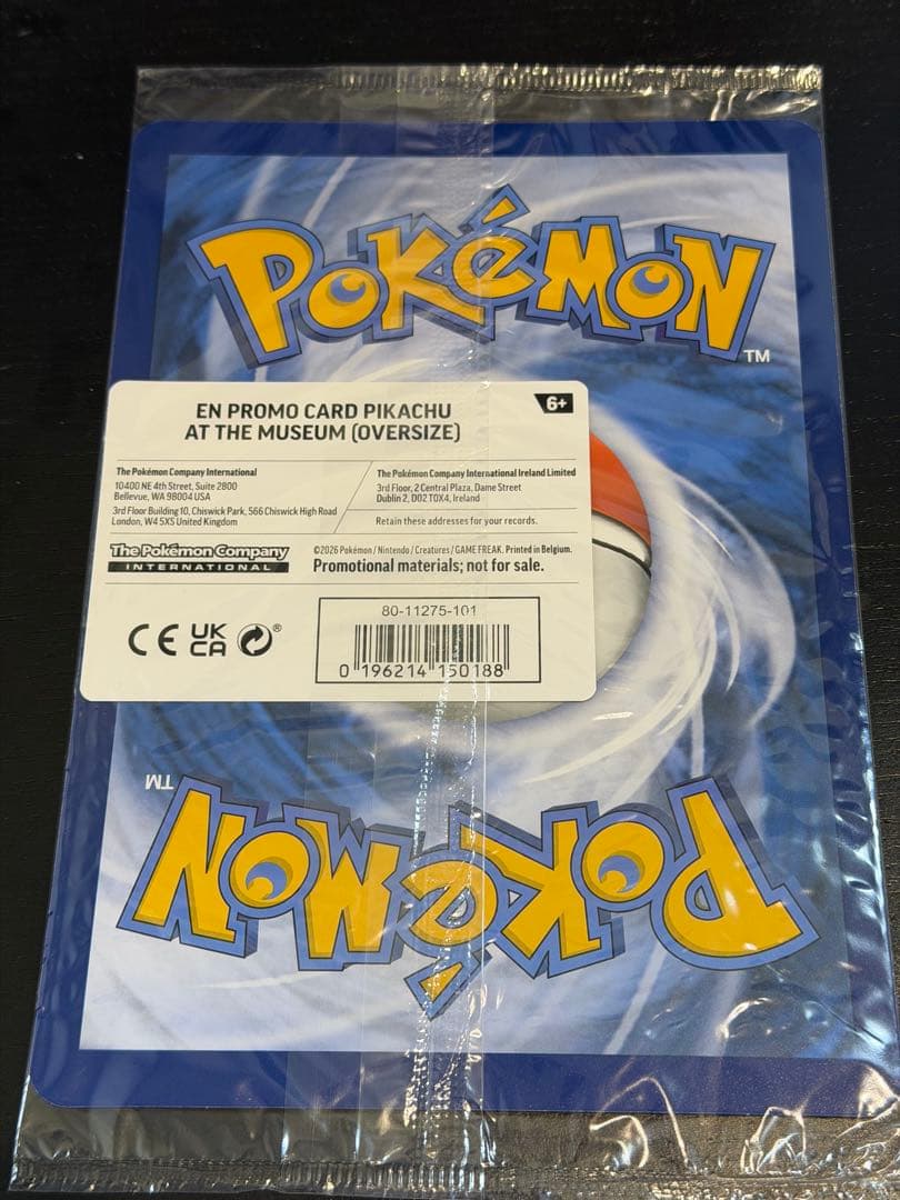 ピカチュウ×自然史博物館コラボプロモPikachu at the Museum