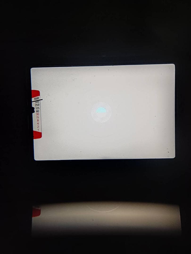 美品 NIKON ニコン EM フィルムカメラ モルト新品交換済 M188