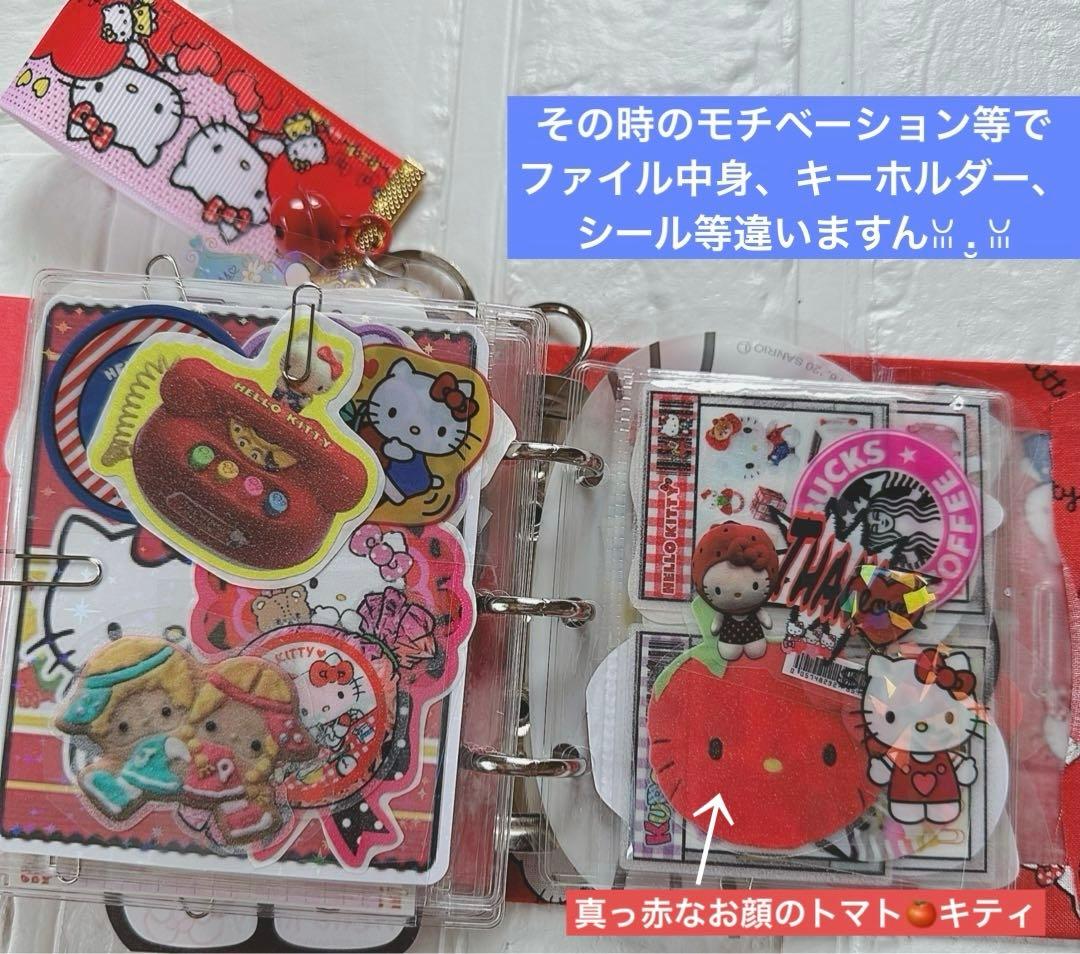 サンリオおすそ分けファイルWファイル気まぐれ限定1プレミアムマスコット＆レアメモ