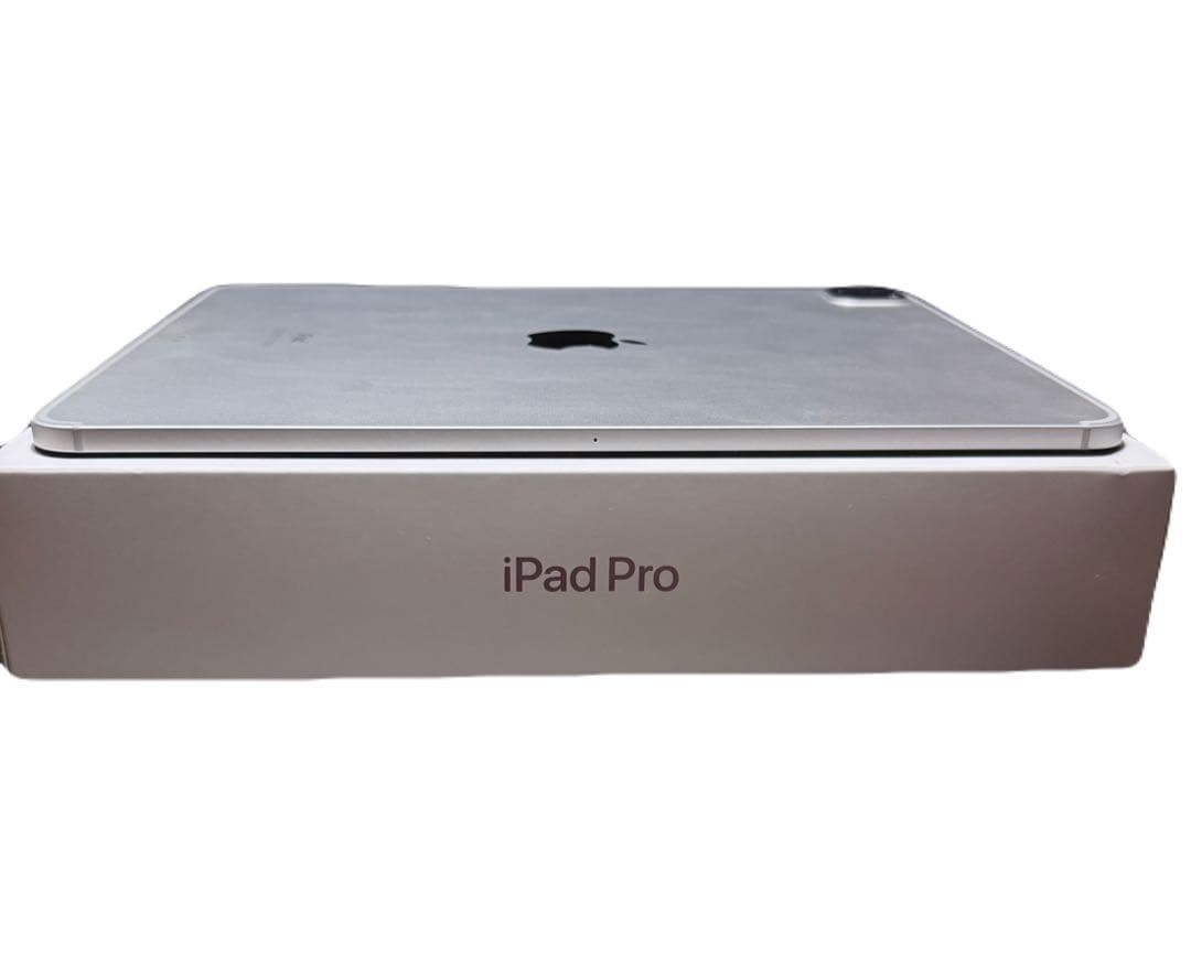 美品 iPad Pro 11インチ セルラーモデル 512GB 最大容量91%