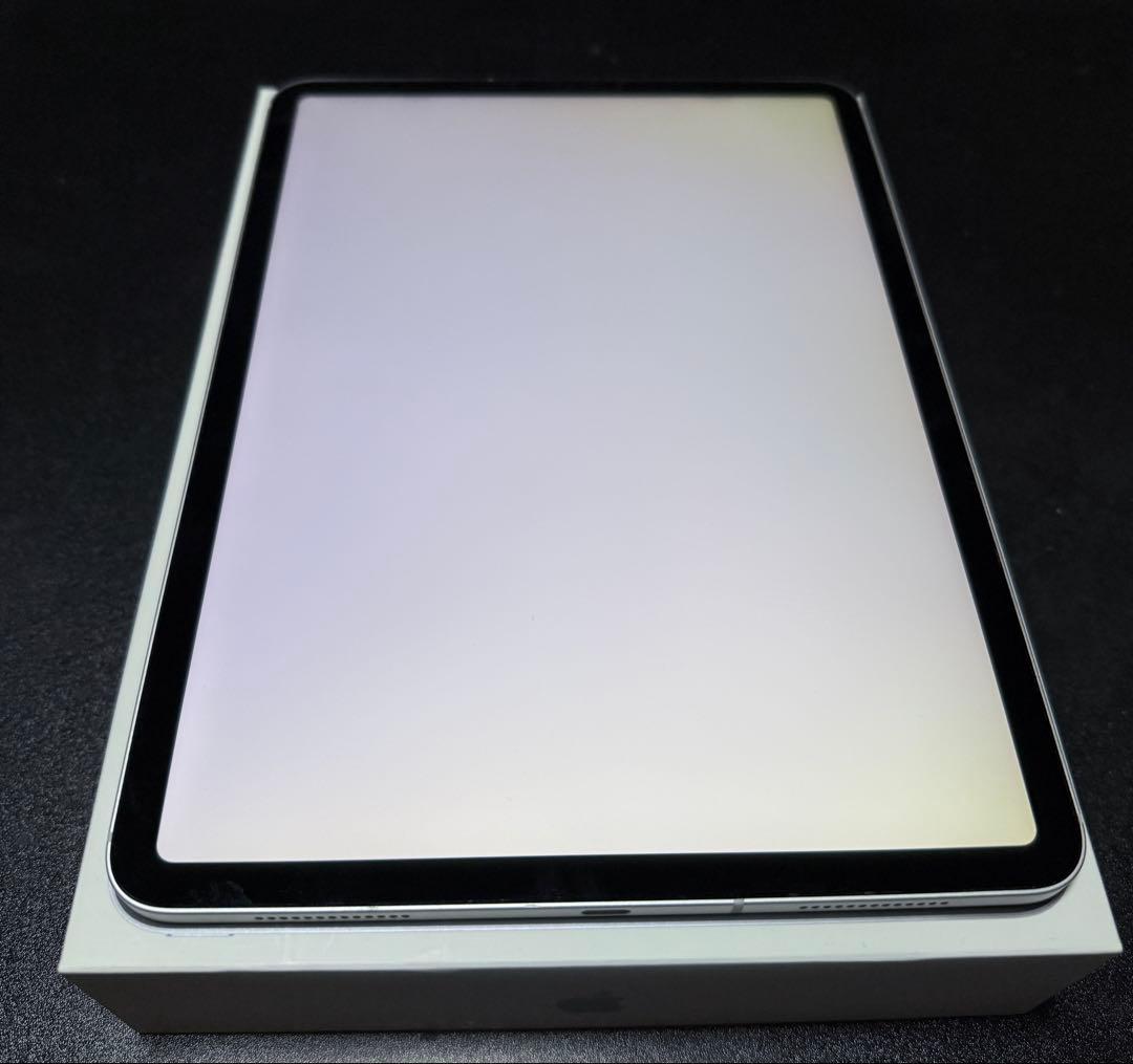 美品 iPad Pro 11インチ セルラーモデル 512GB 最大容量91%