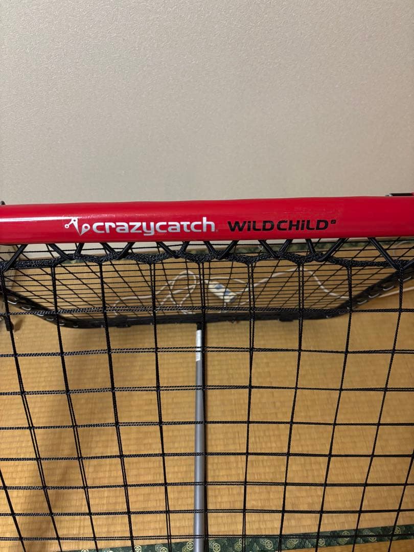 クレイジーキャッチWILD CHILD サッカー練習用ネット