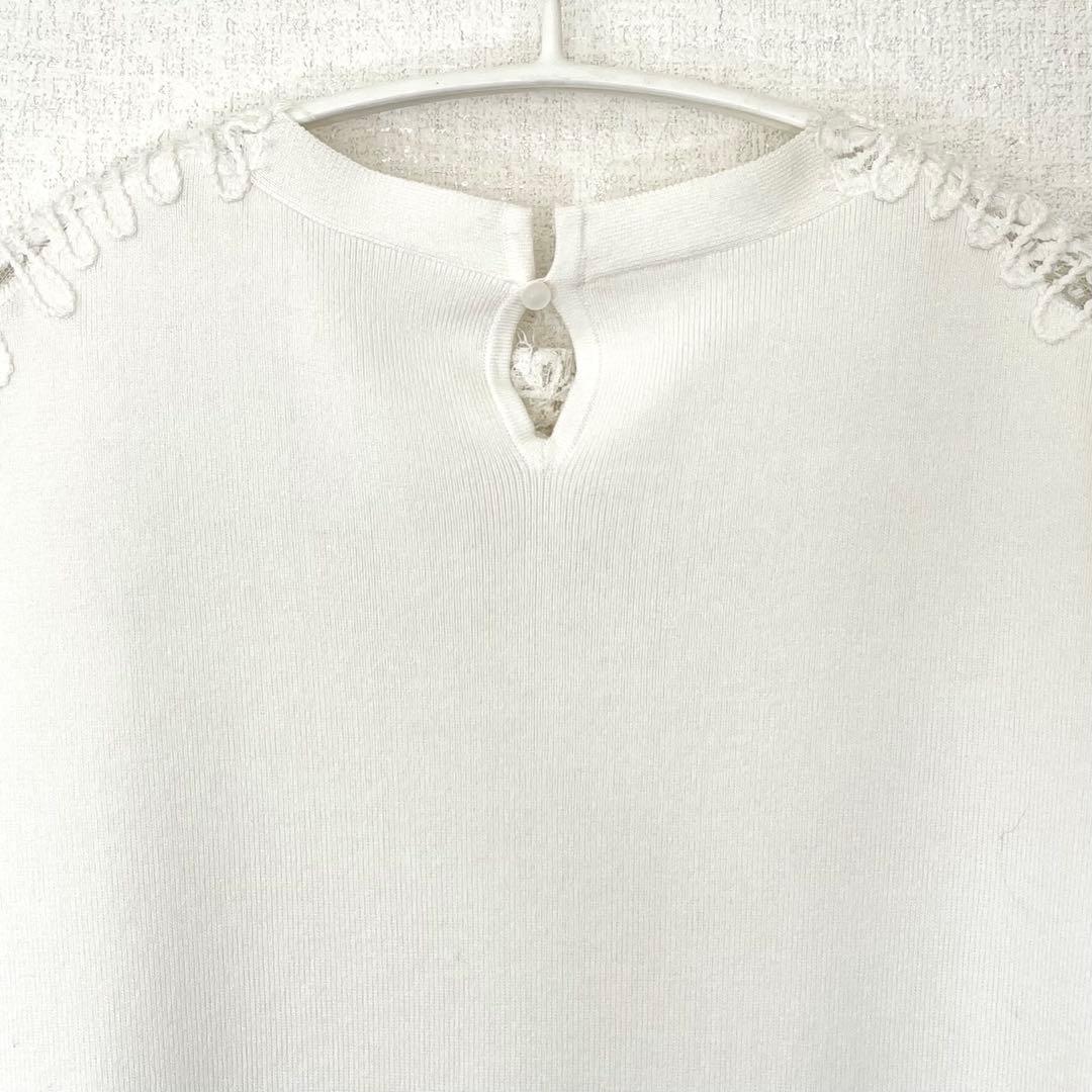 美品　ディノス　DAMA collection レース＆コード刺繍プルオーバー白