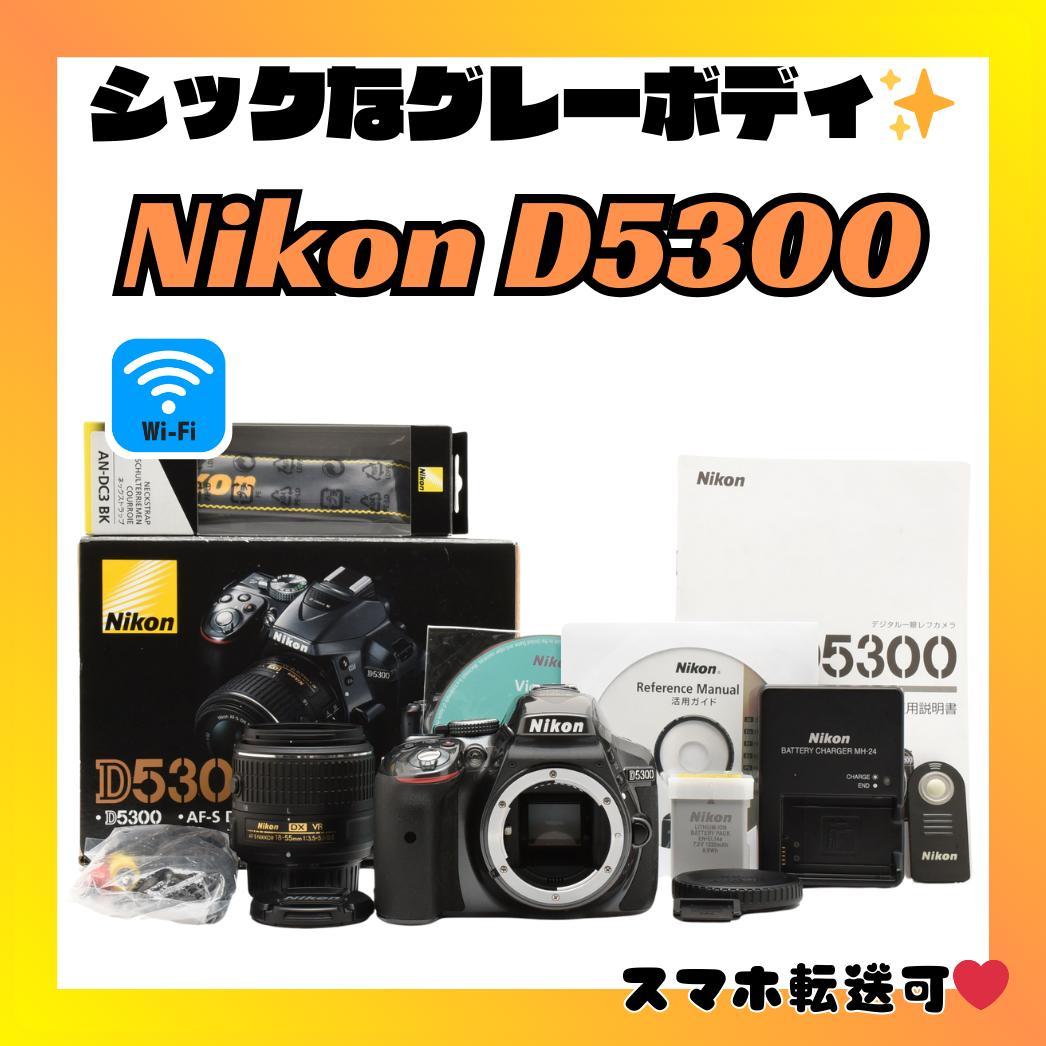 コンパクトで持ち運びやすい✨Nikon D5300✨希少なグレー✨