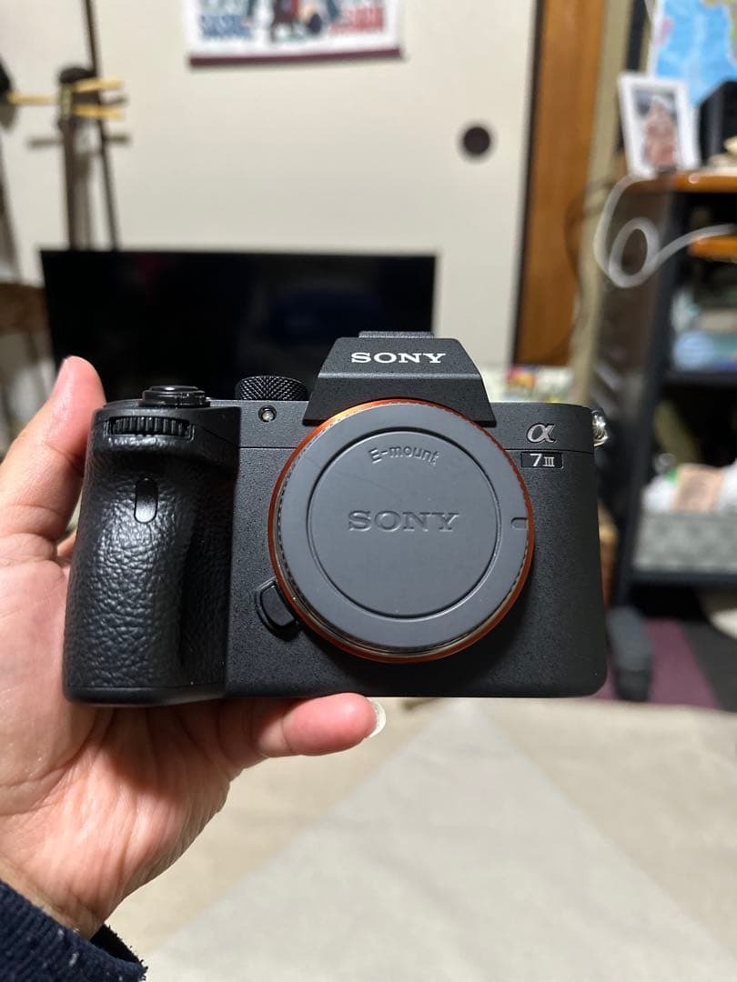 SONY α7 III + TAMRON 70-300mm レンズ