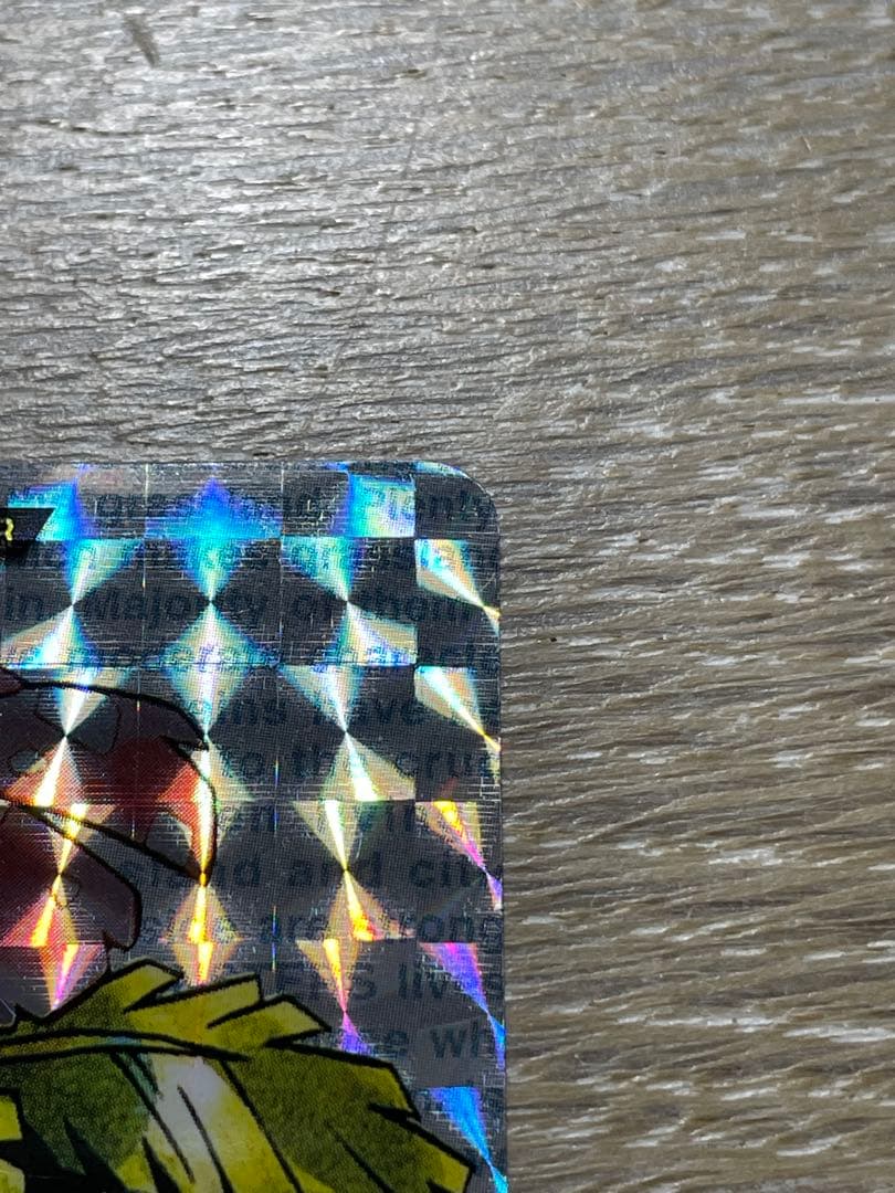 ポケモンカードダス フシギバナ