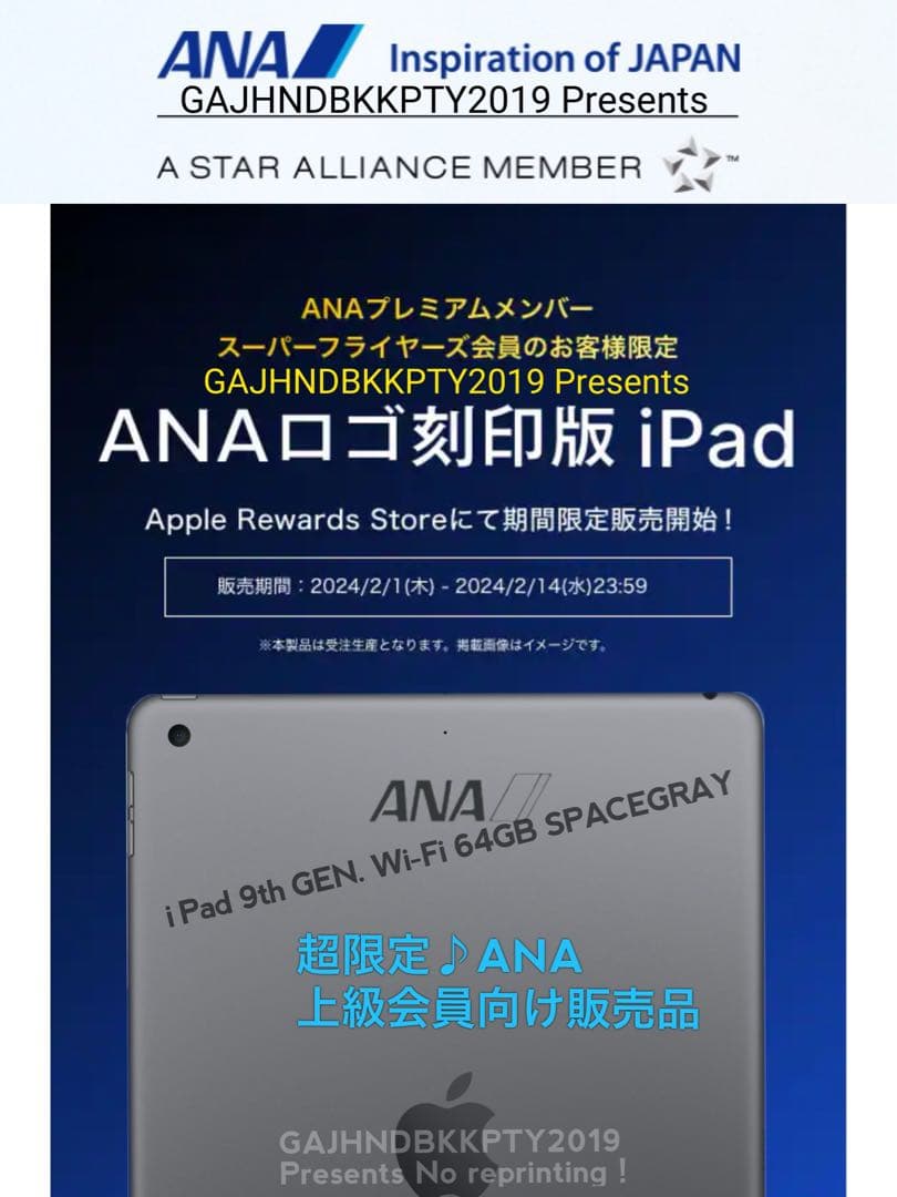ANAプレミアムメンバー限定 ロゴ刻印 iPad Wi-Fi 64GB 全日空