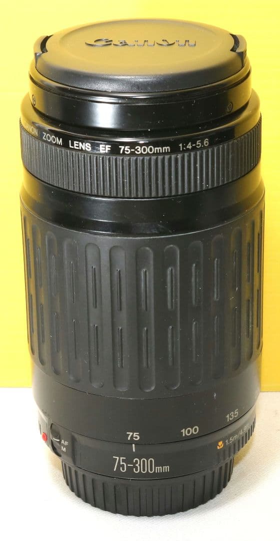 ⭐CANON EF 75-300mm F4-5.6 レンズ ⭐送料無料❤️