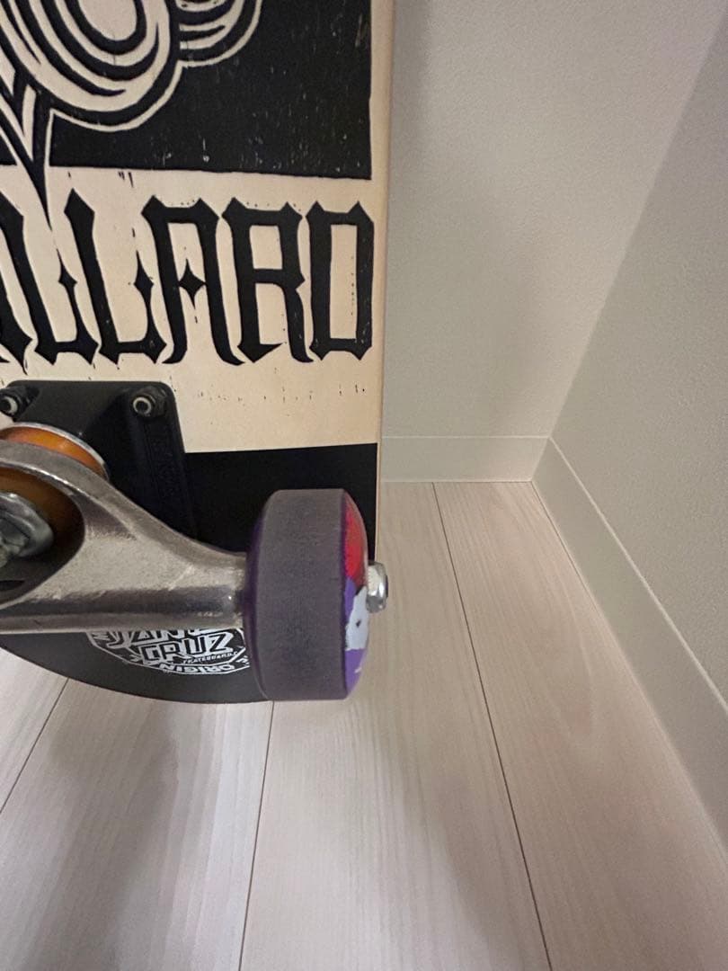 SANTA CRUZ スケートボード コンプリート　サンタクルーズ　完成品