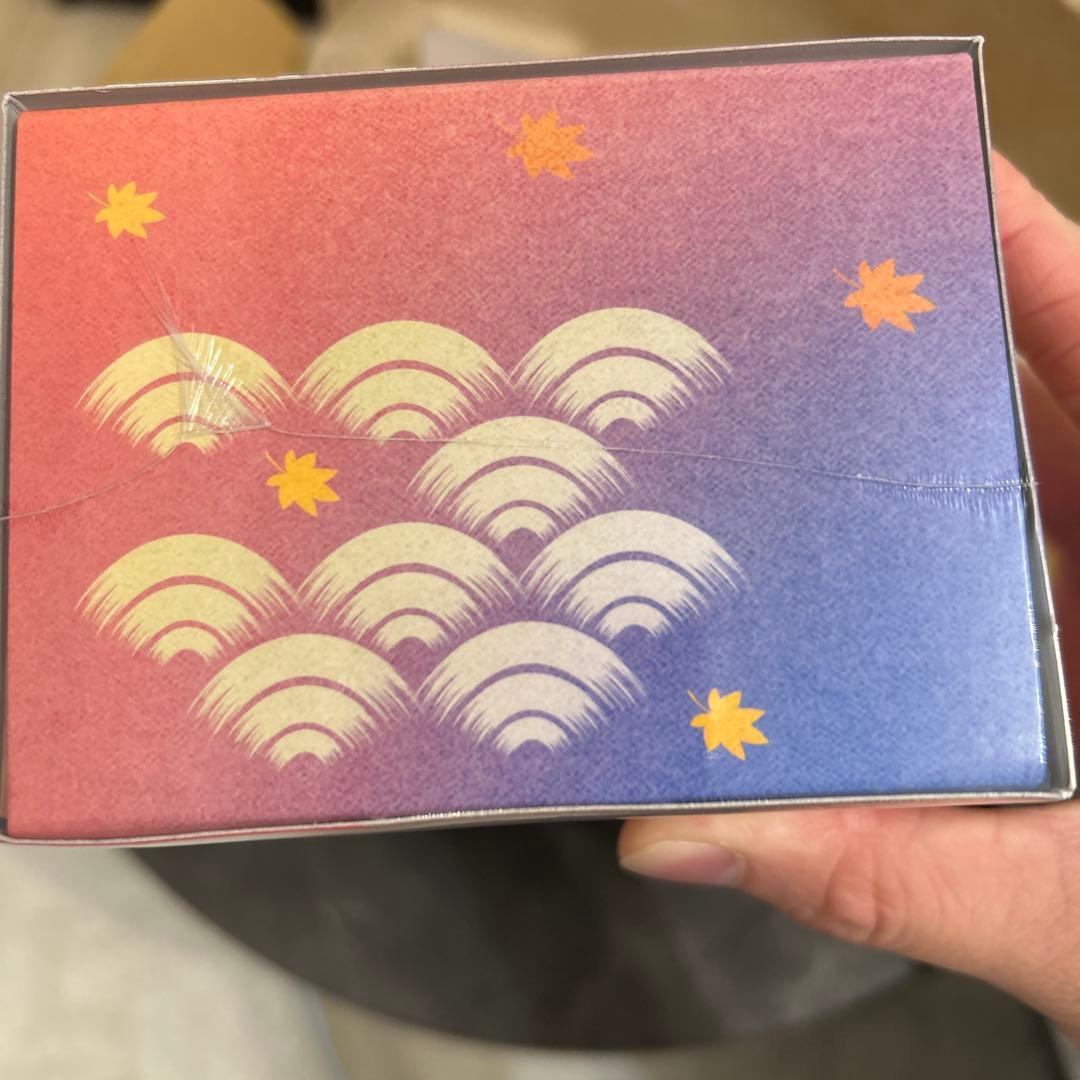 【新品未開封シュリンク付】ポケモンセンターヒロシマ スペシャルBOX