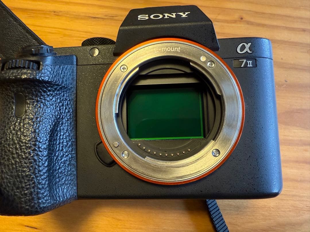 R*N様 SONY α7 II ミラーレス一眼カメラ 本体(バッテリーなし)とキ