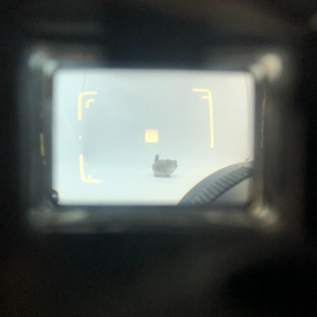 【C6638】YASHICA ヤシカ ELECTRO 35 CC フイルムカメラ