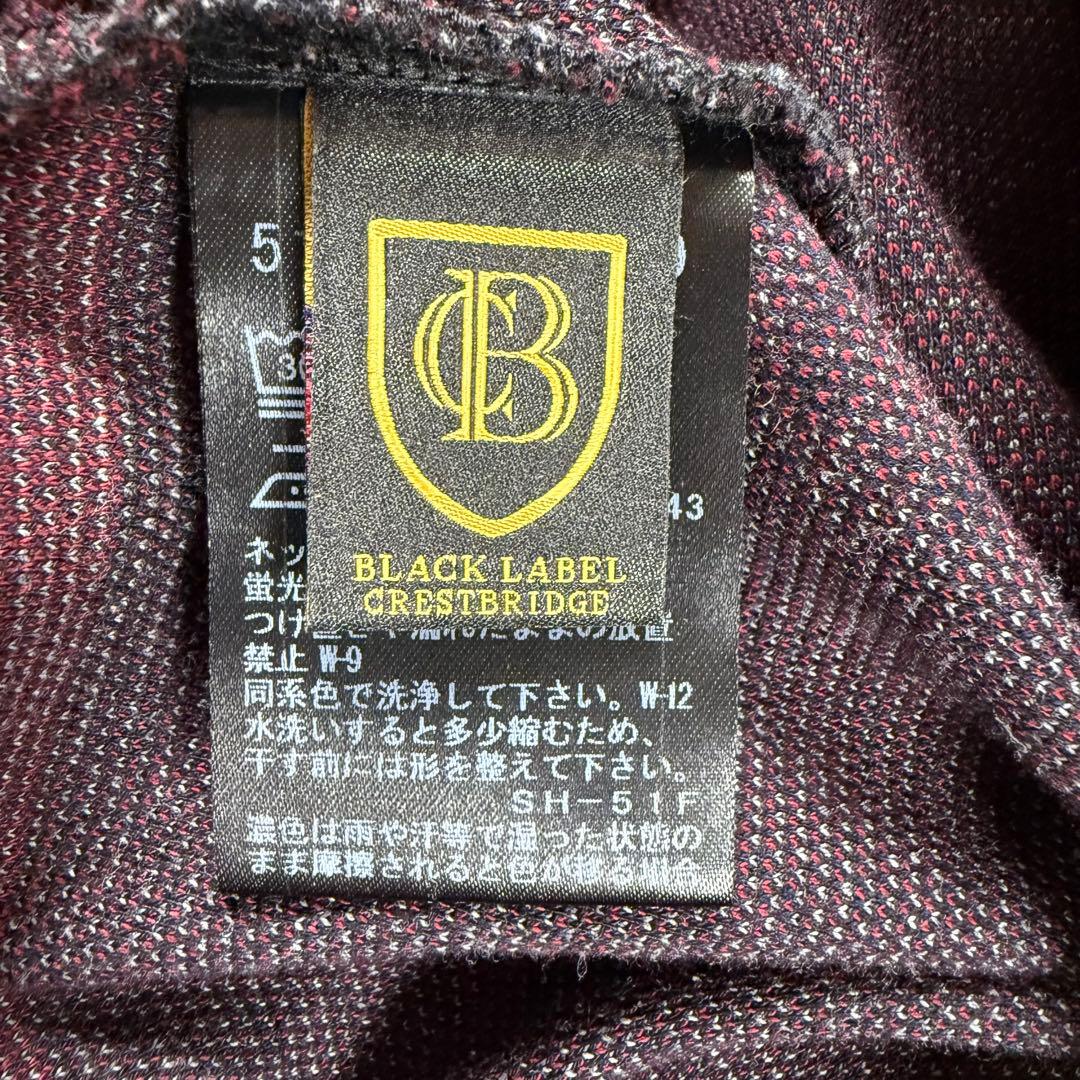 美品✨ ブラックレーベルクレストブリッジ パーカー CBチェック Lサイズ