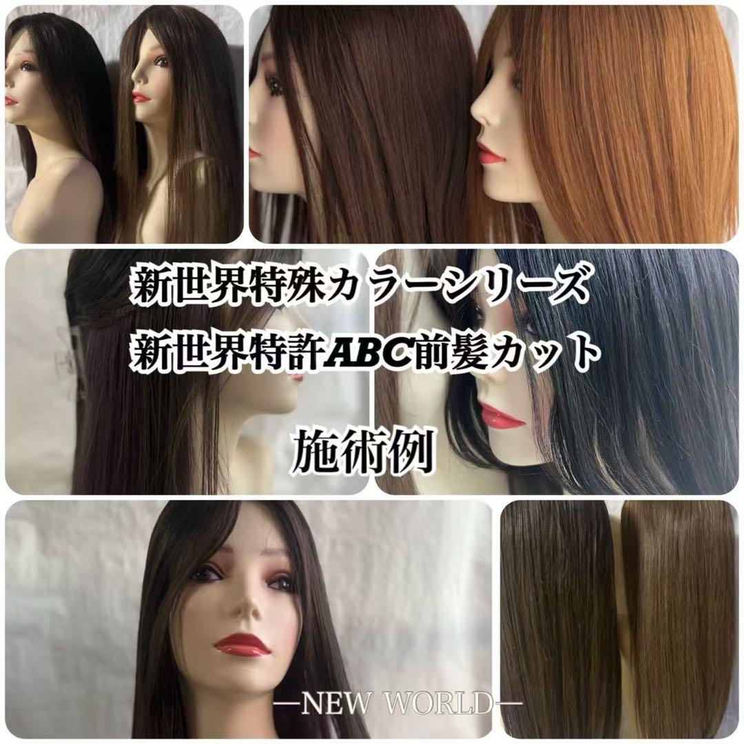 2025新世界　人毛100%ウィッグ　シルクスキン　医療ウィッグ　フルウィッグ