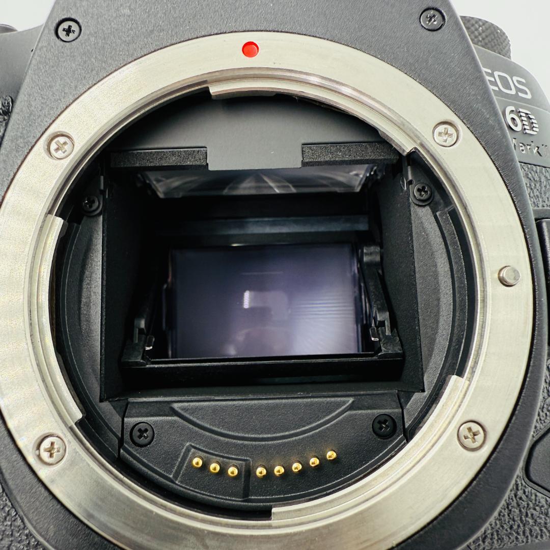 Canon EOS 6D Mark II ボディ 箱つき　付属品あり