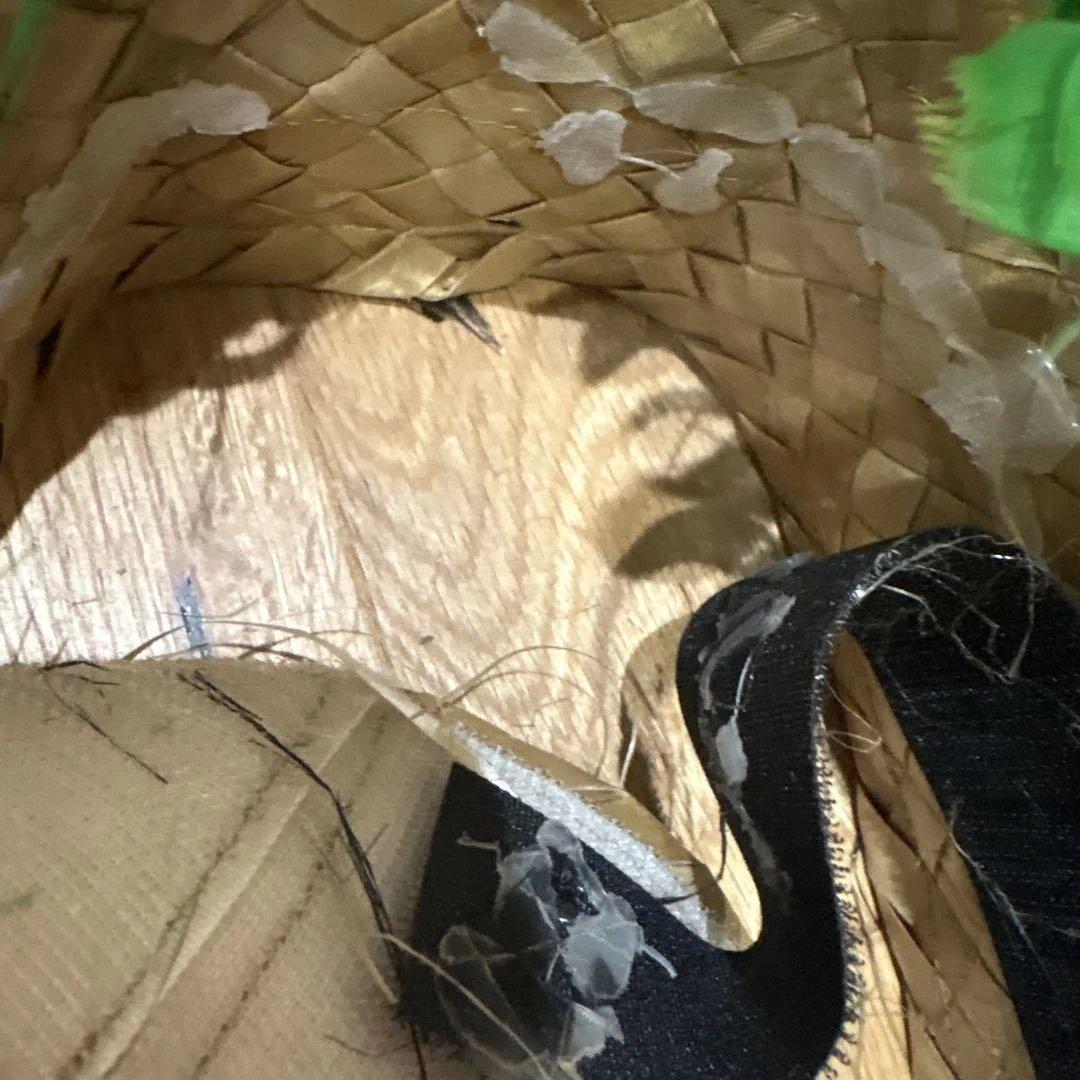 タヒチアンダンス ヒップベルト