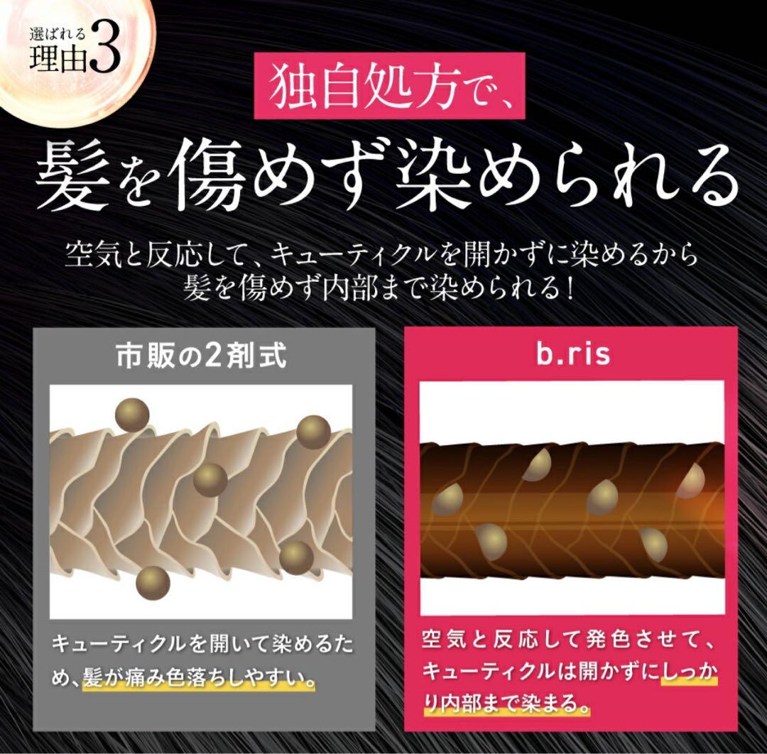 お得な３本セット楽天1位白髪染めビーリスカラーリング泡タイプ 部分染めb.ris