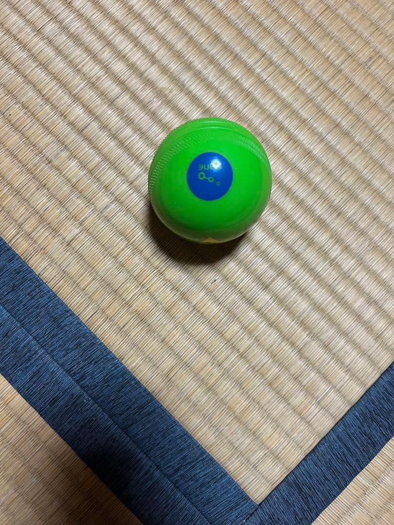 クレイジーキャッチ