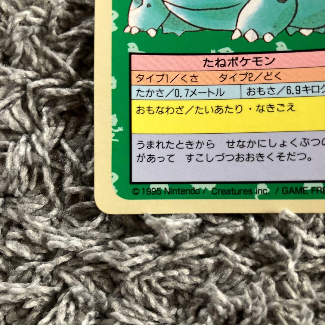 ポケモンカード トップサン フシギダネ 裏青 ナンバーなし　エラー　２枚