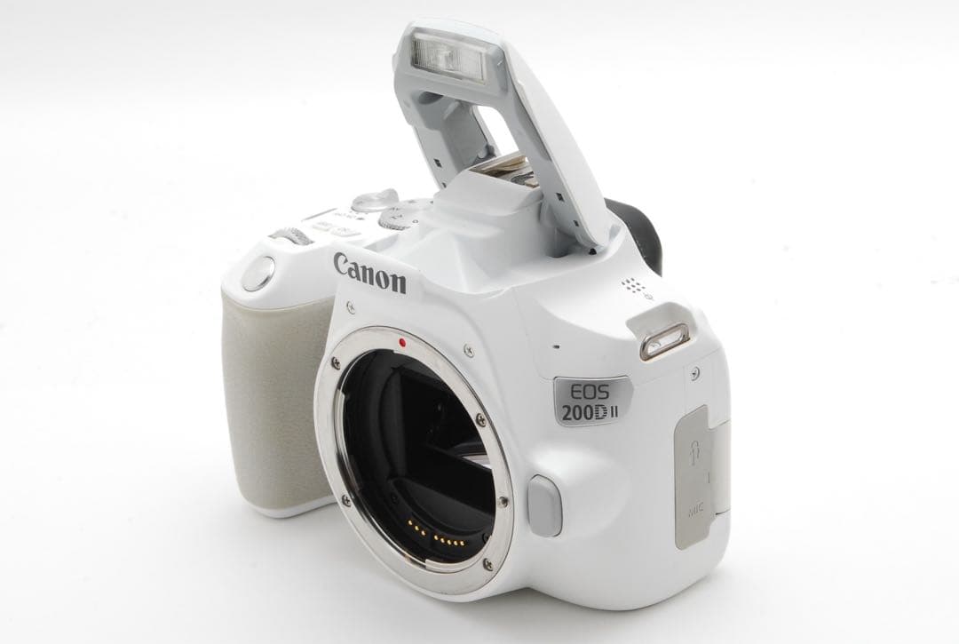 うさちゃん美品❣️Canon EOS 200DII (kiss X10)